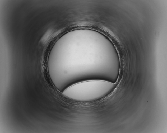 X0000100331213200806051156