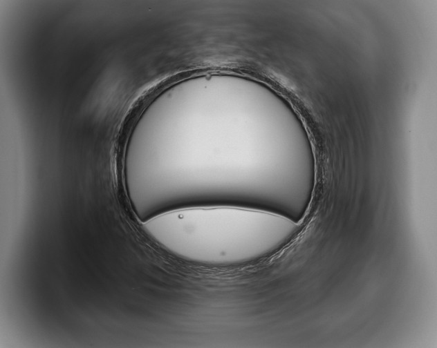 X0000100331214200806051156