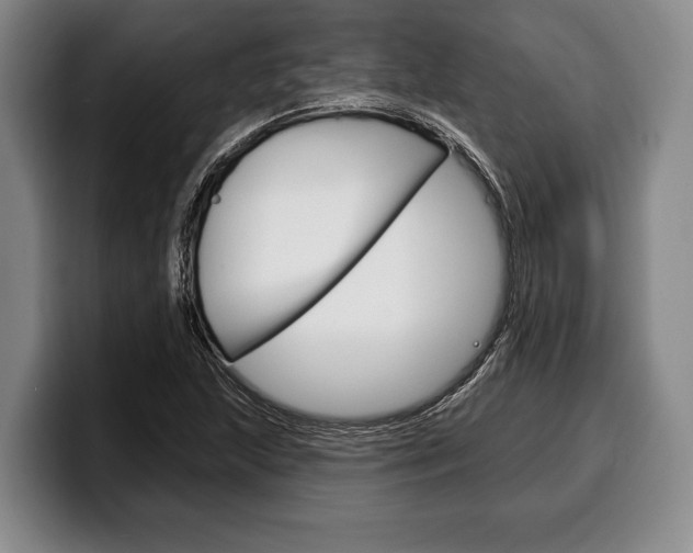 X0000100331215200806051156