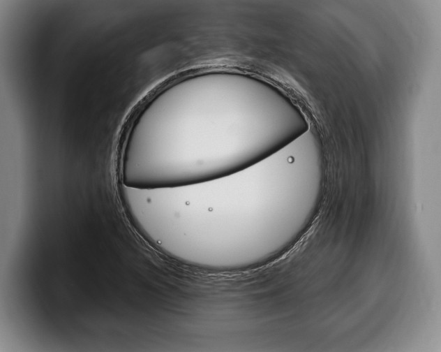 X0000100331216200806051156