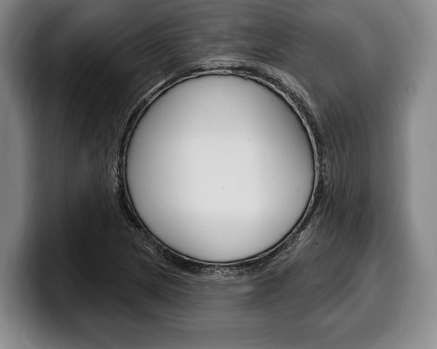 X0000100331217200806051156