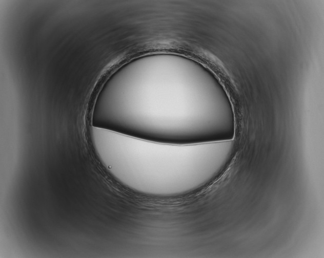 X0000100331218200806051156