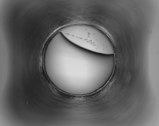 X0000100331220200806051156