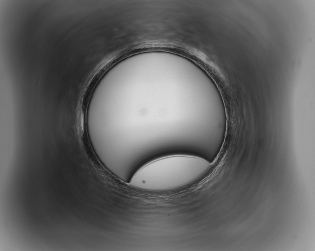 X0000100331221200806051156