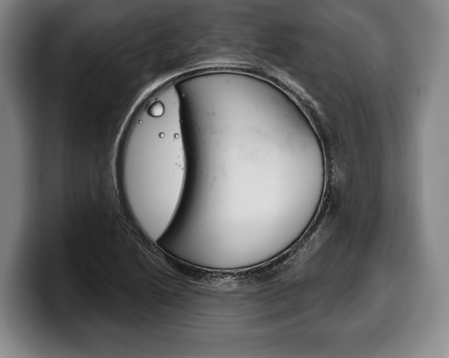 X0000100331222200806051156