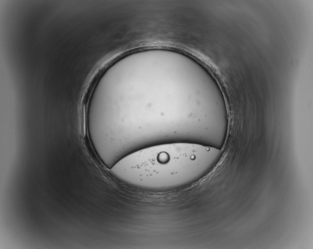 X0000100331223200806051156