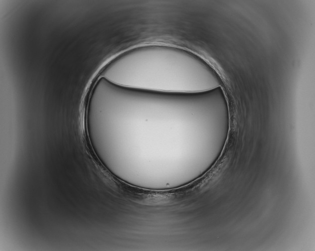X0000100331224200806051156