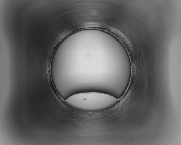X0000100331225200806051156