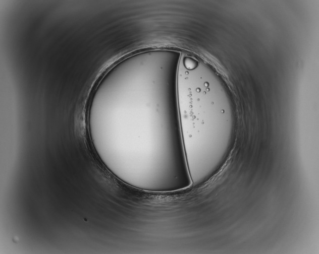 X0000100331226200806051157