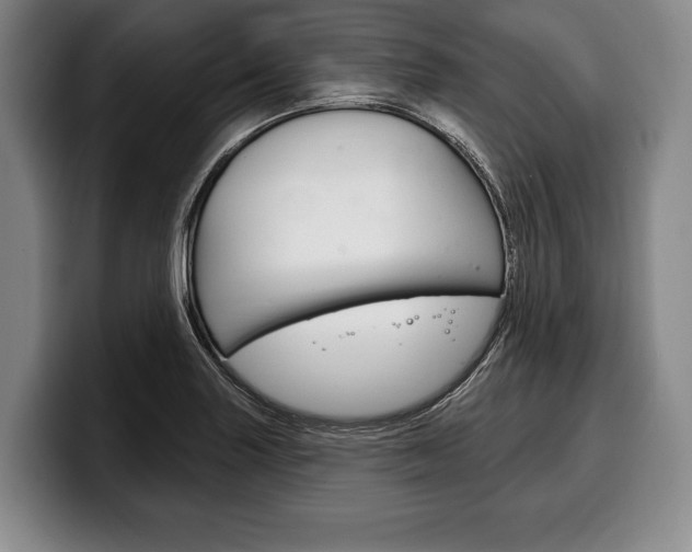 X0000100331227200806051157