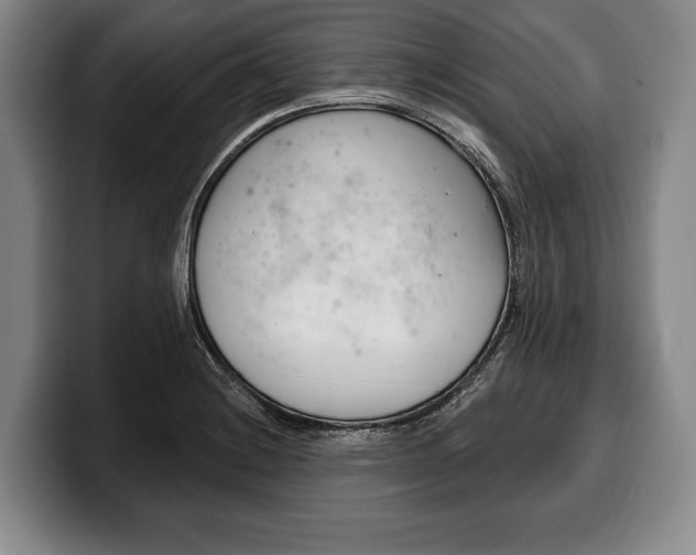 X0000100331228200806051157