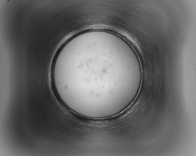 X0000100331229200806051157