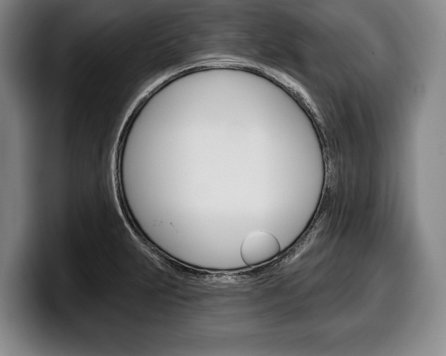 X0000100331231200806051157