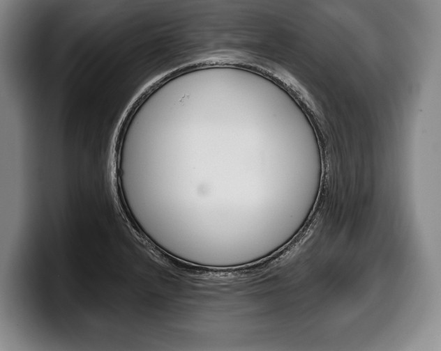X0000100331232200806051157