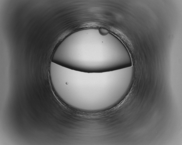 X0000100331233200806051157