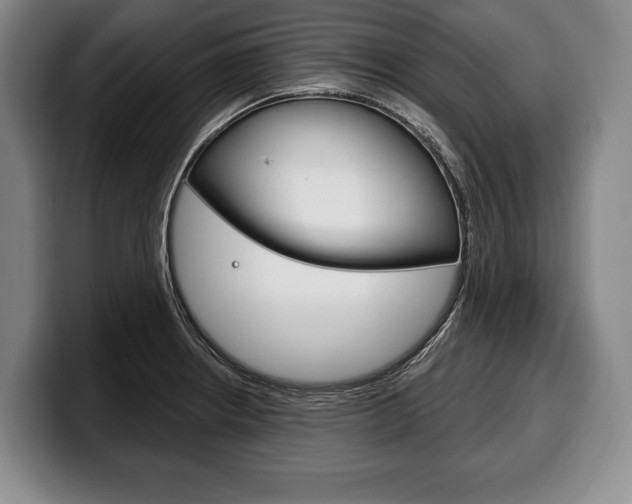 X0000100331234200806051157