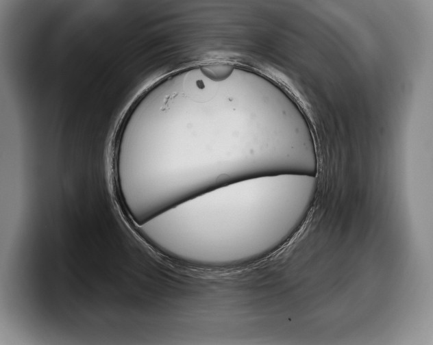 X0000100331235200806051157