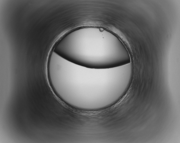 X0000100331237200806051157