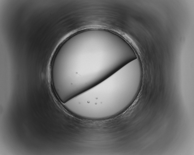 X0000100331238200806051157