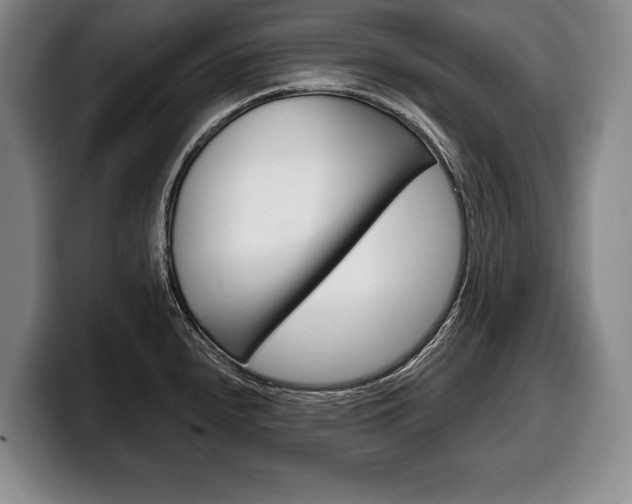X0000100331240200806051157