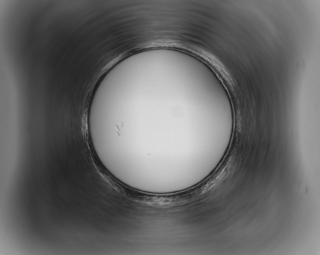 X0000100331241200806051157