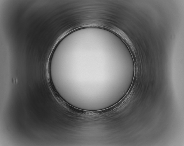 X0000100331242200806051157