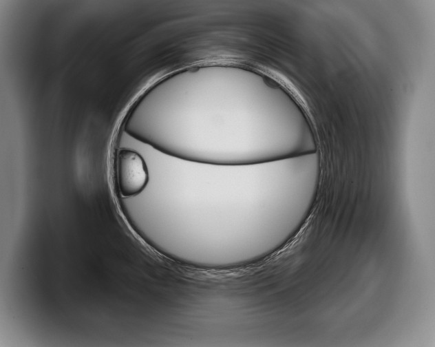 X0000100331243200806051157