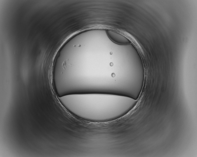 X0000100331244200806051157