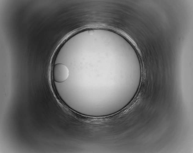 X0000100331245200806051157