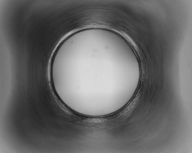 X0000100331246200806051157