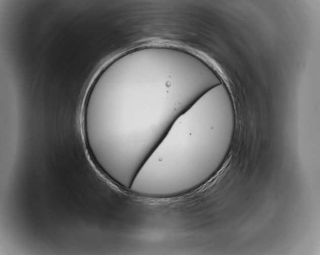 X0000100331247200806051157
