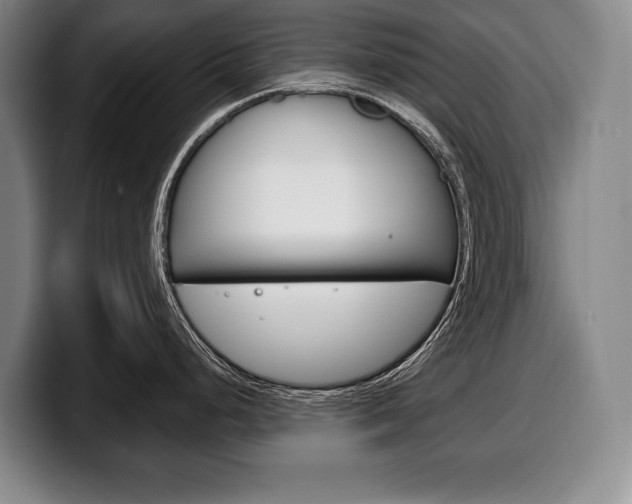 X0000100331248200806051157