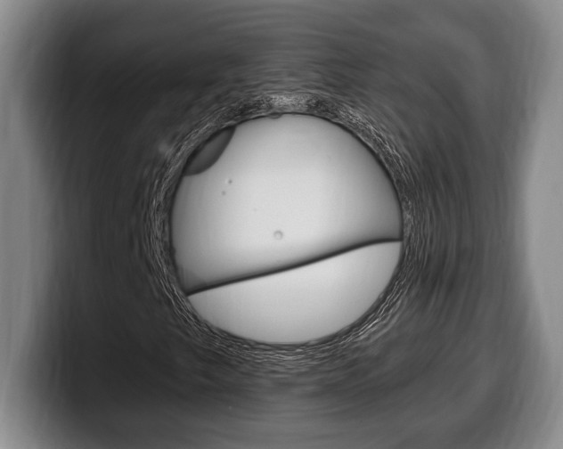 X0000100331249200806051156