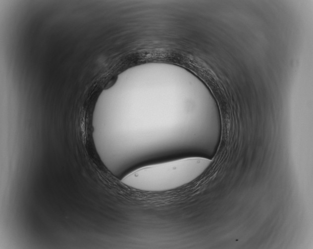 X0000100331250200806051156
