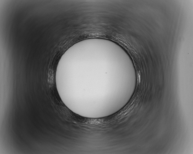 X0000100331251200806051156