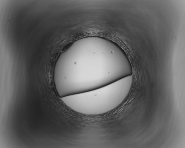 X0000100331253200806051156