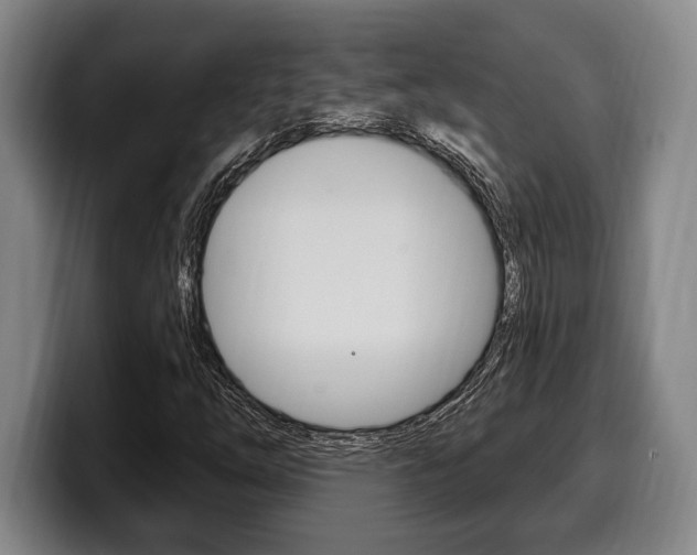 X0000100331254200806051156
