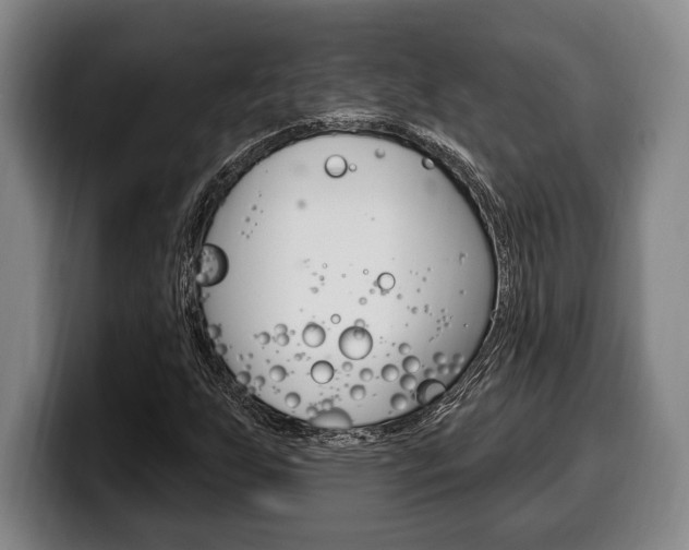 X0000100331255200806051156