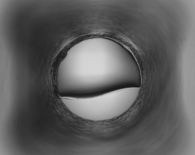 X0000100331256200806051156