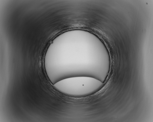 X0000100331257200806051156
