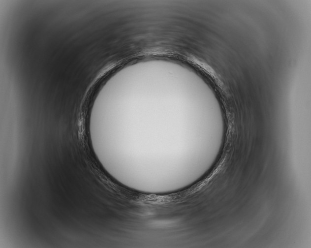 X0000100331258200806051156