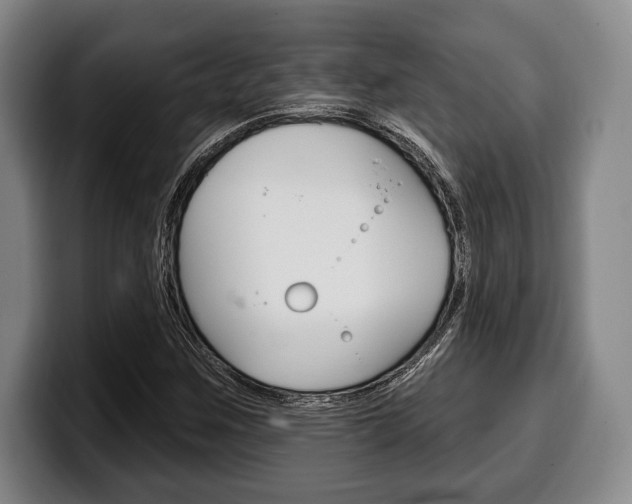 X0000100331259200806051156