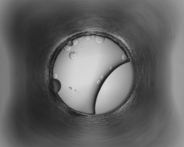 X0000100331263200806051156