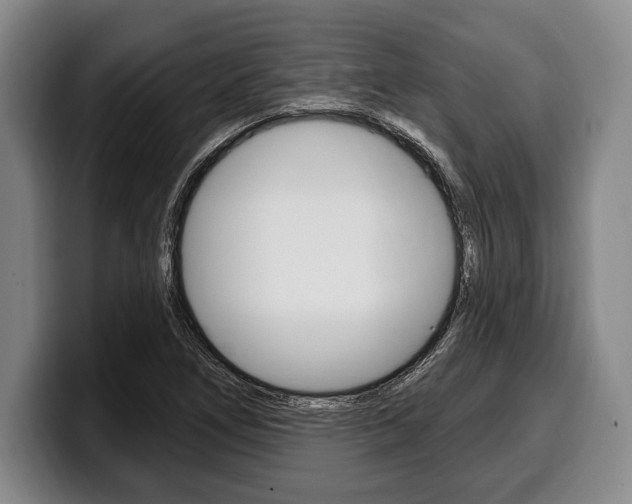 X0000100331266200806051156