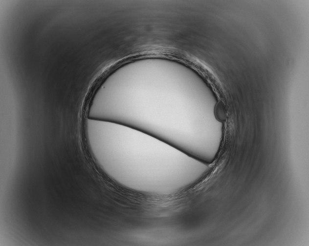 X0000100331267200806051156