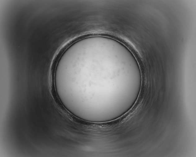 X0000100331270200806051156
