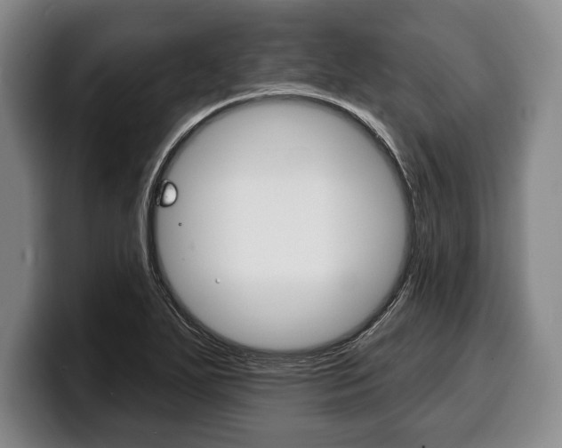 X0000100331271200806051156