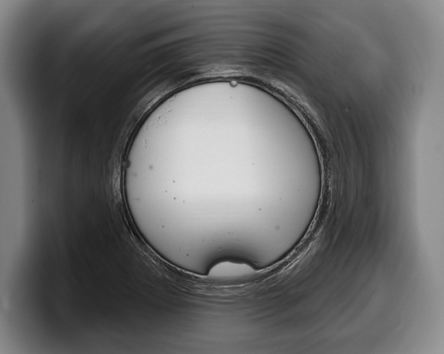 X0000100331273200806051156