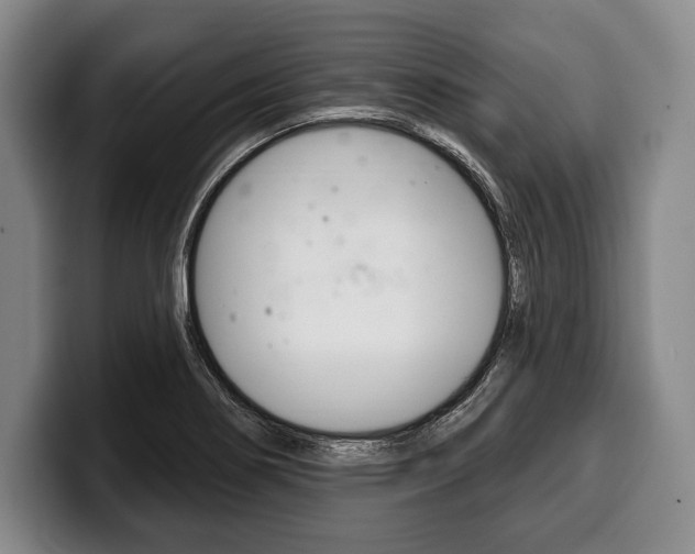 X0000100331274200806051156