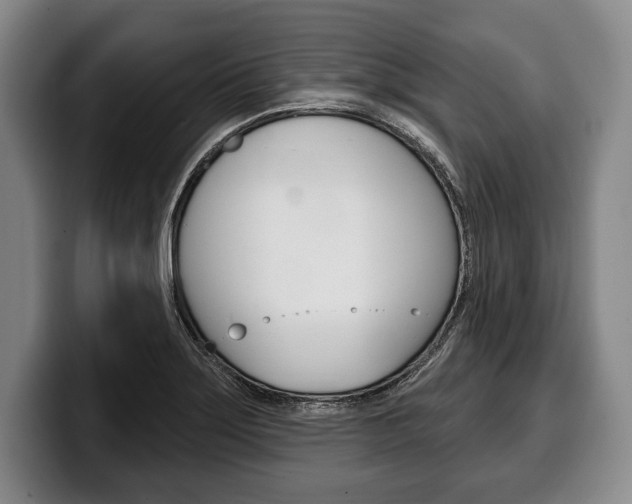 X0000100331275200806051156